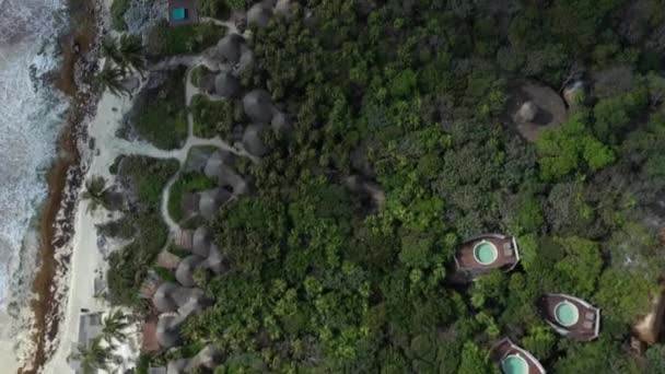 Papaya Playa Projeto Hotel Luxo Costa Tropical Fundo Tulum México — Vídeo de Stock