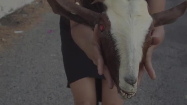 Een Vrouw Bobt Een Taxidermie Geit Hoofd Naar Camera — Stockvideo