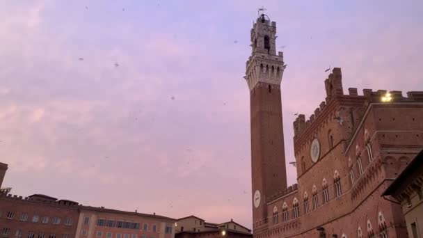 Laaghoekige Opname Van Piazza Del Campo Torre Del Mangia Siena — Stockvideo