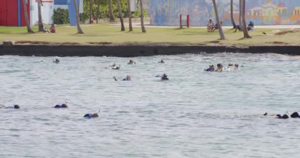 Grupo Personas Disfrutando Actividad Snorkel Durante Sus Vacaciones Punta Escambron — Vídeos de Stock