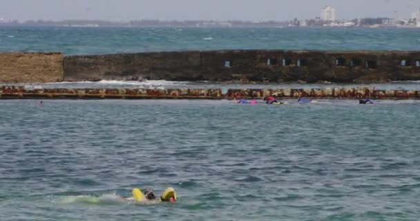 Toeristische Snorkelen Het Zeewater Oppervlak Bij San Juan Puerto Rico — Stockvideo