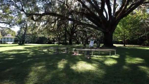 Bancos Vacíos Arco Circular Decorados Con Flores Lugar Boda Del — Vídeo de stock