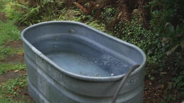 Llenar Una Bañera Oval Galvanizada Con Agua Fría Para Baño — Vídeos de Stock