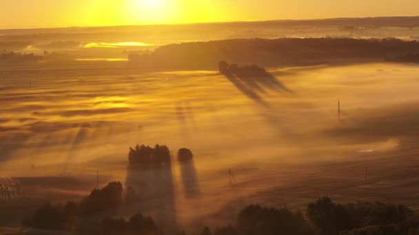 Drone Veduta Aerea Della Nebbiosa Mattina Autunno Contea Kaunas Lituania — Video Stock