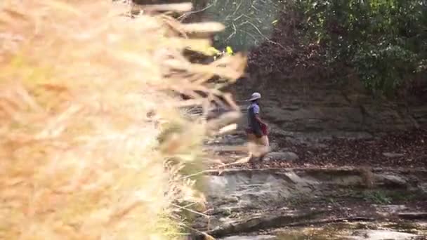 Pohled Přes Rostliny Mladého Muže Kráčejícího Lesní Cestě Trekingové Stezky — Stock video