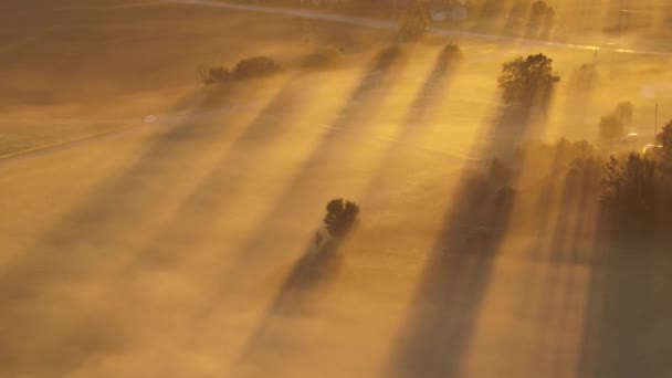 Drone Veduta Aerea Della Nebbiosa Mattina Autunno Contea Kaunas Lituania — Video Stock