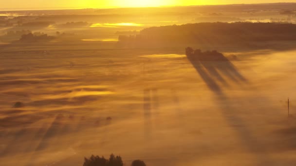 Drohne Luftaufnahme Des Nebligen Herbstmorgens Kreis Kaunas Litauen — Stockvideo