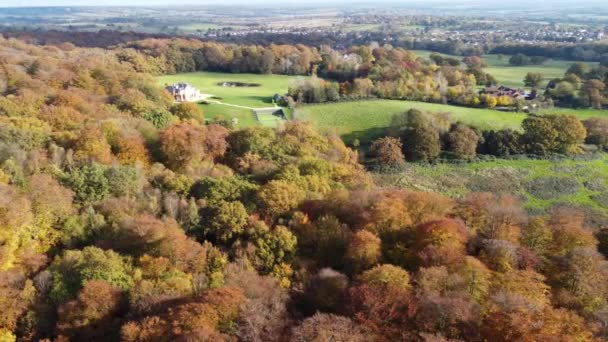 Epping Forest Inglaterra Theydon Bois Distancia Reino Unido Otoño Vibrantes — Vídeo de stock