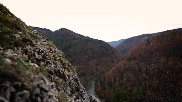 Fiume Ruscello Valle Montagna Alberi Rossi Autunnali Collina Panorama Panning — Video Stock