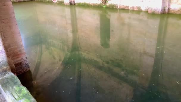 High Angle Shot Green Water Reflection Ceiling Medieval Structure Siena — Stock Video