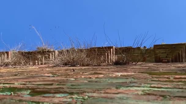 Статический Снимок Древней Средневековой Кирпичной Стены Прямо Вверх Ясному Голубому — стоковое видео