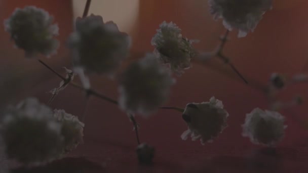 Κοντινό Πλάνο Του Ένα Όμορφο Λευκό Λουλούδι Ανθοπωλεία Χρησιμοποιούν Μπουκέτο — Αρχείο Βίντεο