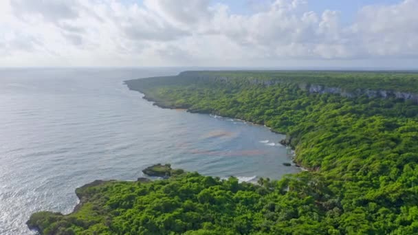 Lush Vegetation Limestone Cliffs Parque Nacional Cotubanama Dominican Republic Aerial — Stock Video