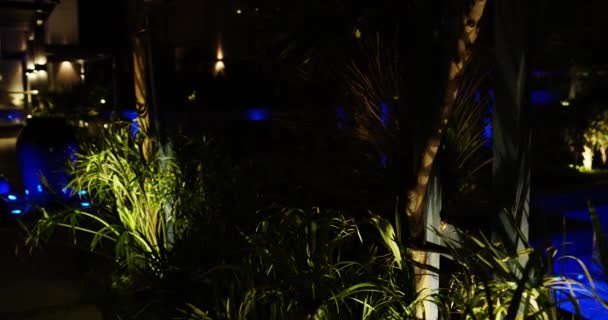 Yapay ışık arka planıyla aydınlatılan bitkilerin gece çekimleri