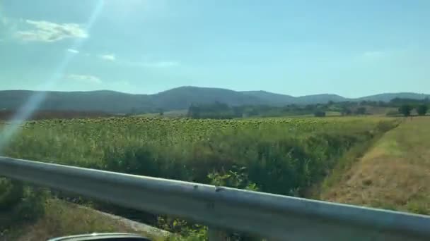 Granja Girasol Siena Toscana Italia Con Montañas Fondo Disparado Desde — Vídeo de stock