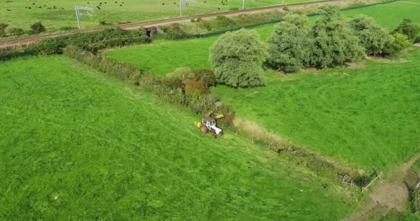 Ciągnik Tnący Wiejskie Żywopłoty Widok Lotu Ptaka Kirkham Lancashire — Wideo stockowe