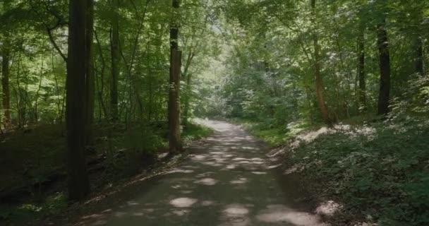 Mysterious Exotic Pebble Road Gyllebo Forest South Sweden Skne Wide — Stock video