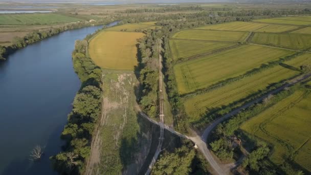 Vue Aérienne Eau Delta Rhône Été Avec Champs Maïs Cultures — Video