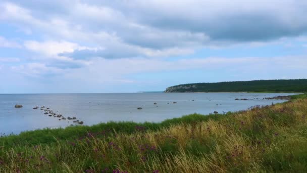 Statyczny Widok Trawę Kamienny Brzeg Skaliste Wybrzeże Wietrzny Dzień Gotlandia — Wideo stockowe