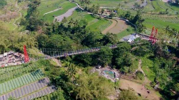 Pont Emblématique Jokowi Muntilan Entouré Paysages Tropicaux Vue Aérienne Sur — Video