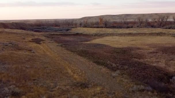 Nagranie Dronów Kraju Nad Prerią Niedaleko Alberta Canada — Wideo stockowe