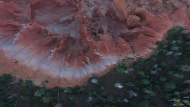Geërodeerd Terrein Aan Rand Van Naaldbos Gekleurde Zandsteen Rotsformatie Utah — Stockvideo