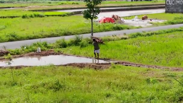 Person Från Indonesien Som Transporterar Tunga Vedträn Flygfoto — Stockvideo