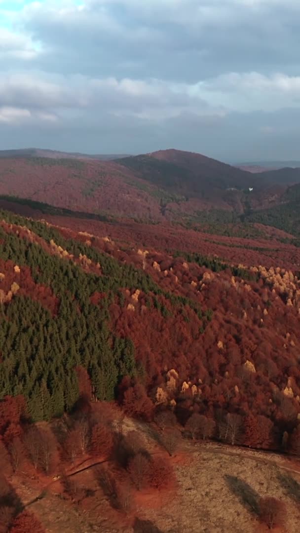 Létání Nad Podzimním Horským Lesem Červenou Zelenou Barvou Vrcholků Stromů — Stock video