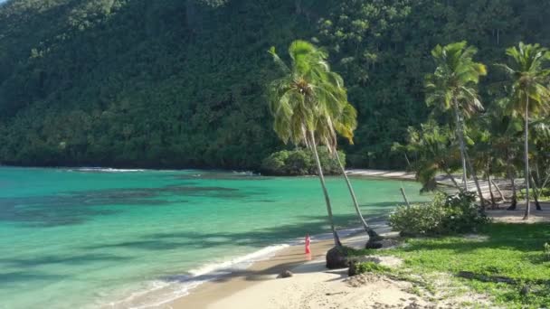 Mujer Aislada Caminando Playa Blanca Hermitano Samana República Dominicana Circulación — Vídeos de Stock