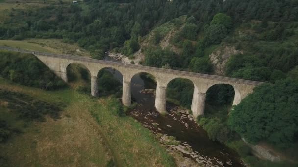 Stone Arch Järnvägsbro Över Allier River Med Lummig Grön Skog — Stockvideo