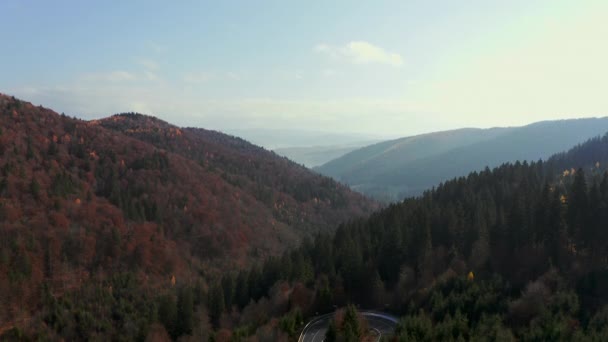 Wzniesienie Lotnicze Nad Zakrętem Spinki Włosów Przez Jesienny Las Nyerges — Wideo stockowe