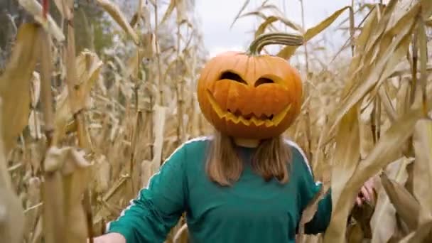 Vit Kvinna Med Snidad Pumpa Huvudet Vandring Cornfield Närbild — Stockvideo