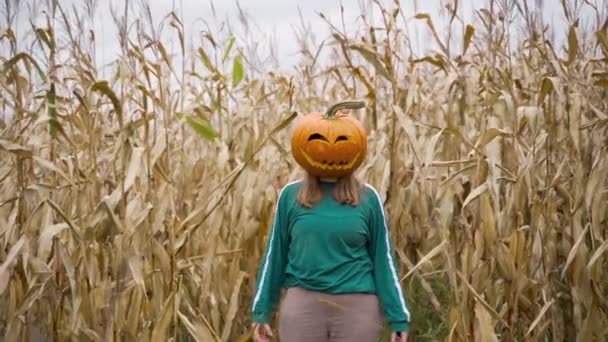 Abóbora Halloween Esculpida Cabeça Uma Menina Loira Plantação Milho Ampliar — Vídeo de Stock