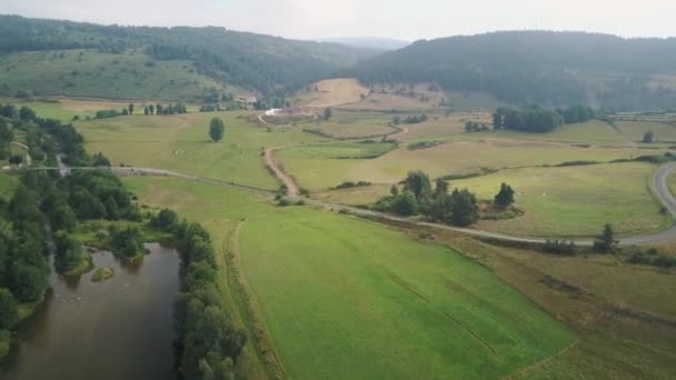 Widok Lotu Ptaka Rzekę Pola Wiejskie Stadem Bydła Latem Langogne — Wideo stockowe