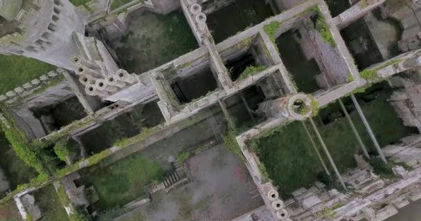 Duckett Grove Castle Ruins Bird Eye Drone Shot — Stock video
