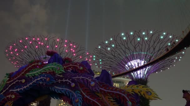 Espetáculo Luz Pulsante Supertree Grove Jardins Perto Baía Singapura Ângulo — Vídeo de Stock