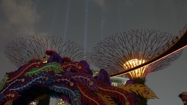 Spettacolo Luci Colorate Supertree Grove Giardini Vicino Alla Baia Singapore — Video Stock