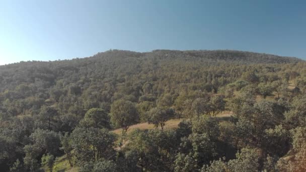 Drönare Skott Overhead Antenn Utsikt Över Ett Berg — Stockvideo