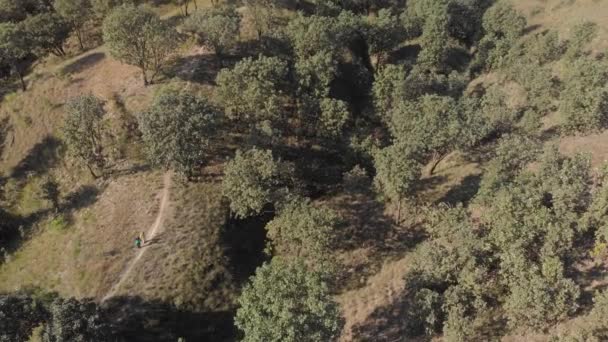 Strzał Drona Nad Głową Zdjęcie Lotnicze Lasu — Wideo stockowe