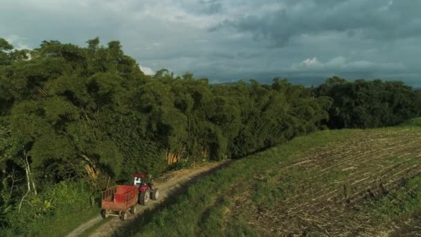 Czerwony Ciągnik Idzie Drogą Zielone Felgi Drzewa — Wideo stockowe