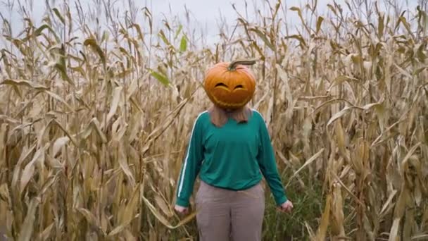 Girl Pumpkin Head Standing Cornfields Break Small Branch Bare Hands — Stock video