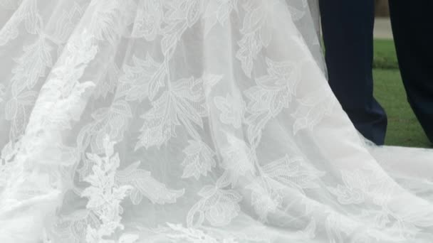 Braut Brautkleid Und Bräutigam Anzug — Stockvideo