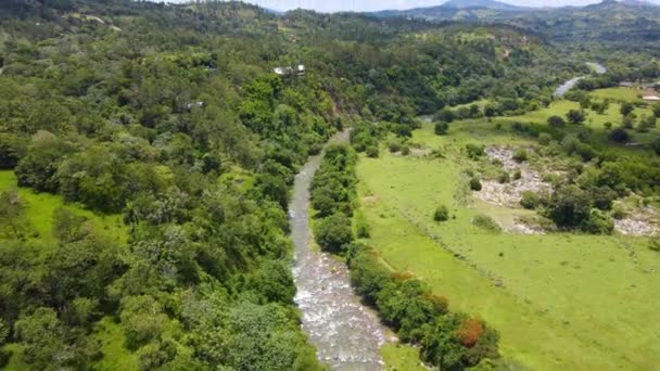 Rio Yaque Del Norte Лесом Солнечный День Окружении Дикой Природы — стоковое видео