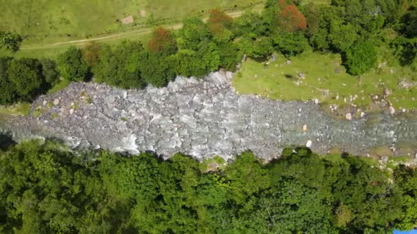 Río Yaque Del Norte Durante Día Soleado Con Vida Silvestre — Vídeo de stock