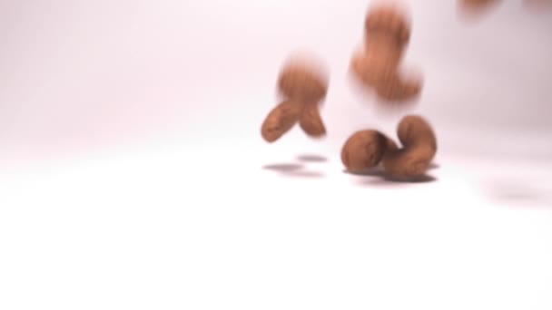 Dutch Cookies Pepernoten Sinterklaas Candy Slow Motion Shot — Stock Video