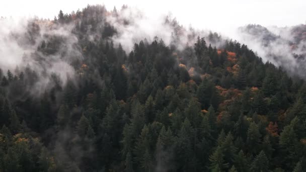 Nebelschwaden Über Wäldern Und Hügeln Der Landschaft Von Oregon Drohnenaufnahme — Stockvideo