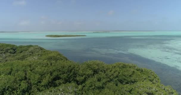 Unberührte Tropical Island Mit Mangrovenwald Tölpel Vögel Fliegen Auf Grünen — Stockvideo