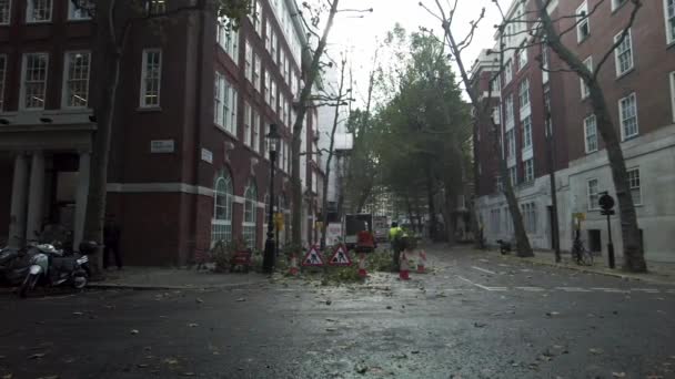 Arboristi Che Lavorano Taglio Alla Pulizia Degli Alberi Smith Square — Video Stock