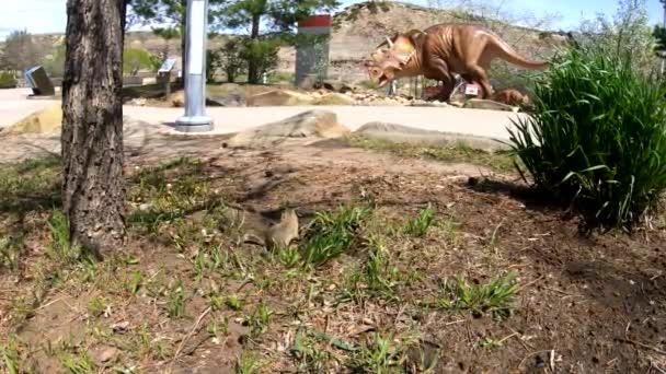 Pequeno Cão Pradaria Parque Perto Caminho Com Uma Estátua Dinossauro — Vídeo de Stock