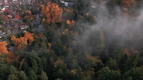 Vista Aérea Floresta Colorida Hillside Portland Oregon Eua Incline Revelando — Vídeo de Stock